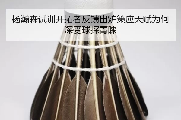 杨瀚森试训开拓者反馈出炉策应天赋为何深受球探青睐